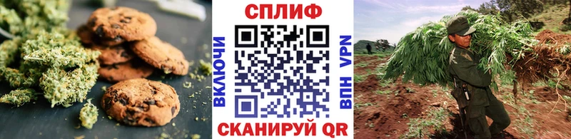 как найти закладки  Талица  Еда ТГК марихуана 