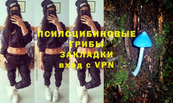 мет Аркадак