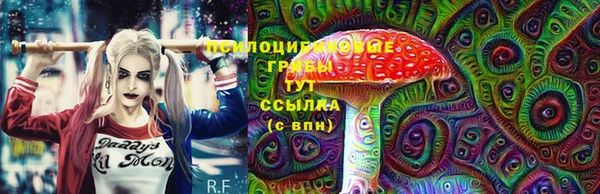 гидра Арсеньев