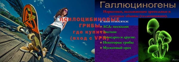 гидра Арсеньев