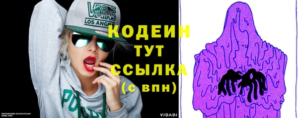 гидра Арсеньев